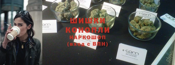 прущие грибы Армянск