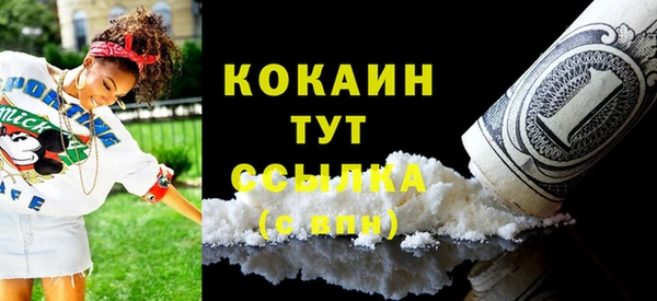 прущие грибы Армянск